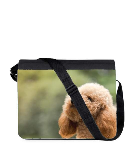 Sac bandoulière - besace pour Caniche dans le jardon