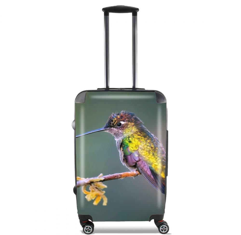 Valise trolley bagage L pour Colobri Birl Colo